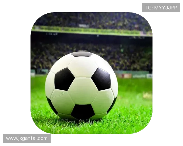 谢什科的传奇旅程与足球世界的辉煌成就分析