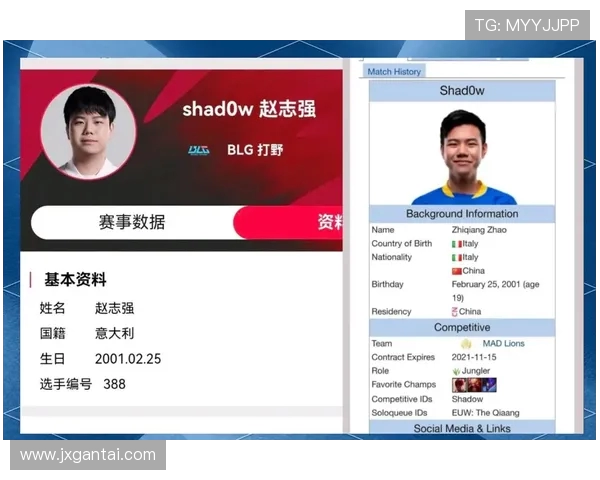 BLG战队选手个人能力深度分析与表现评估